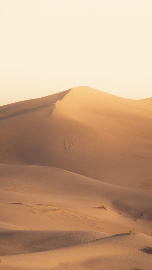 Free Serene desert landscape with rolling dunes captured under a warm, golden sunset light. Stock Photo