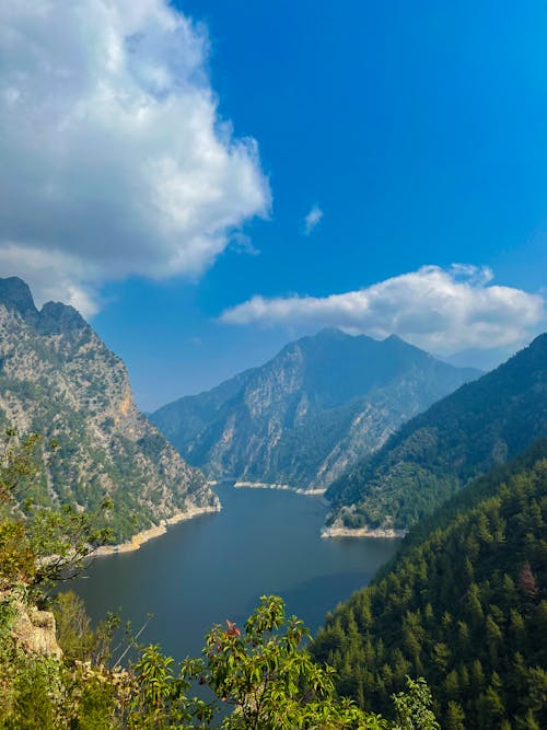 Green Trees on Mountain Near Lake Under Blue Sky