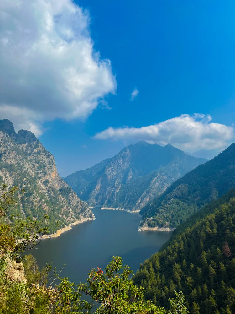 Green Trees On Mountain Near Lake Under Blue Sky