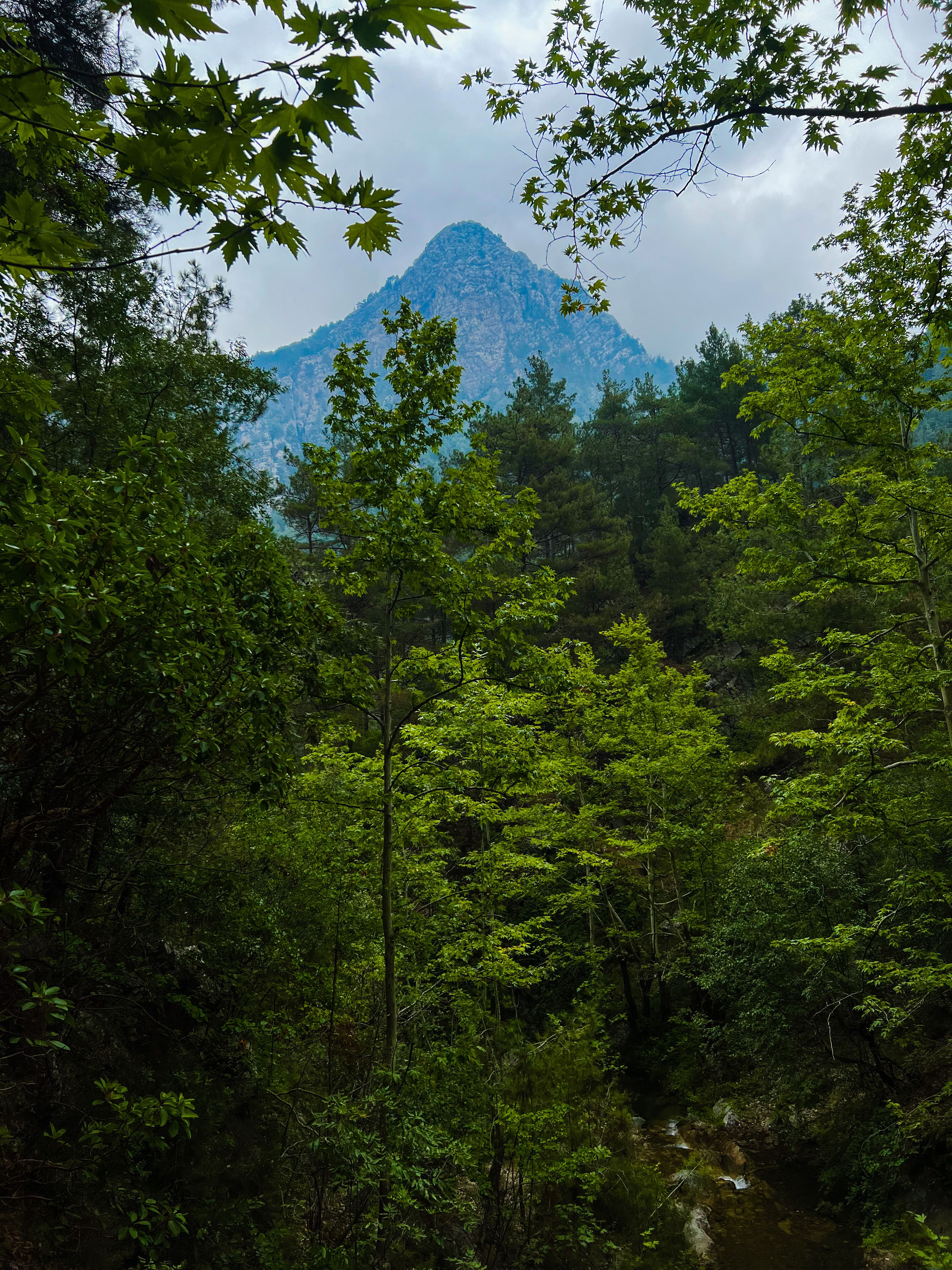 Green Trees Near Mountain Under Blue Sky · Free Stock Photo