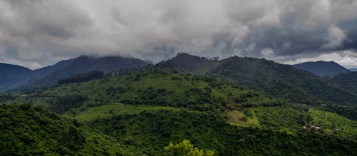 亚拉, 叢林, 多云的山脉 的 免费素材图片