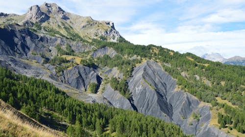 Darmowe zdjęcie z galerii z drzewa, góry, krajobraz