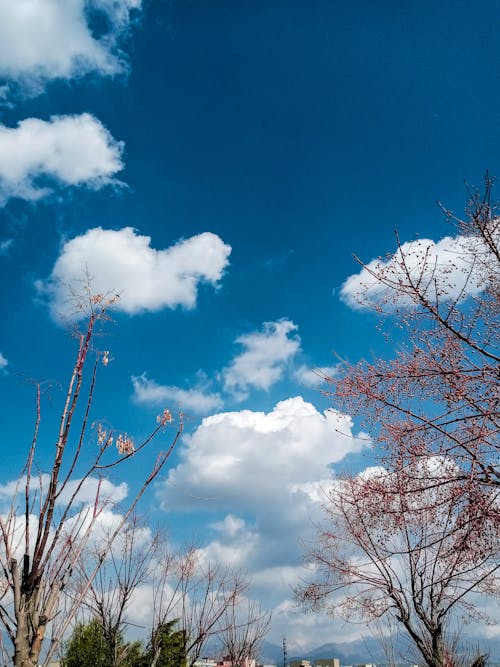 Free stock photo of blue, clouds, lightroom Stock Photo