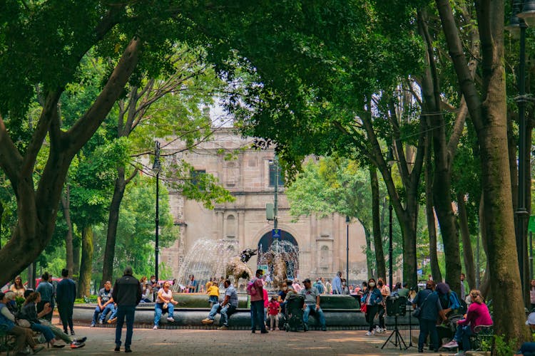 Busy People In The Park