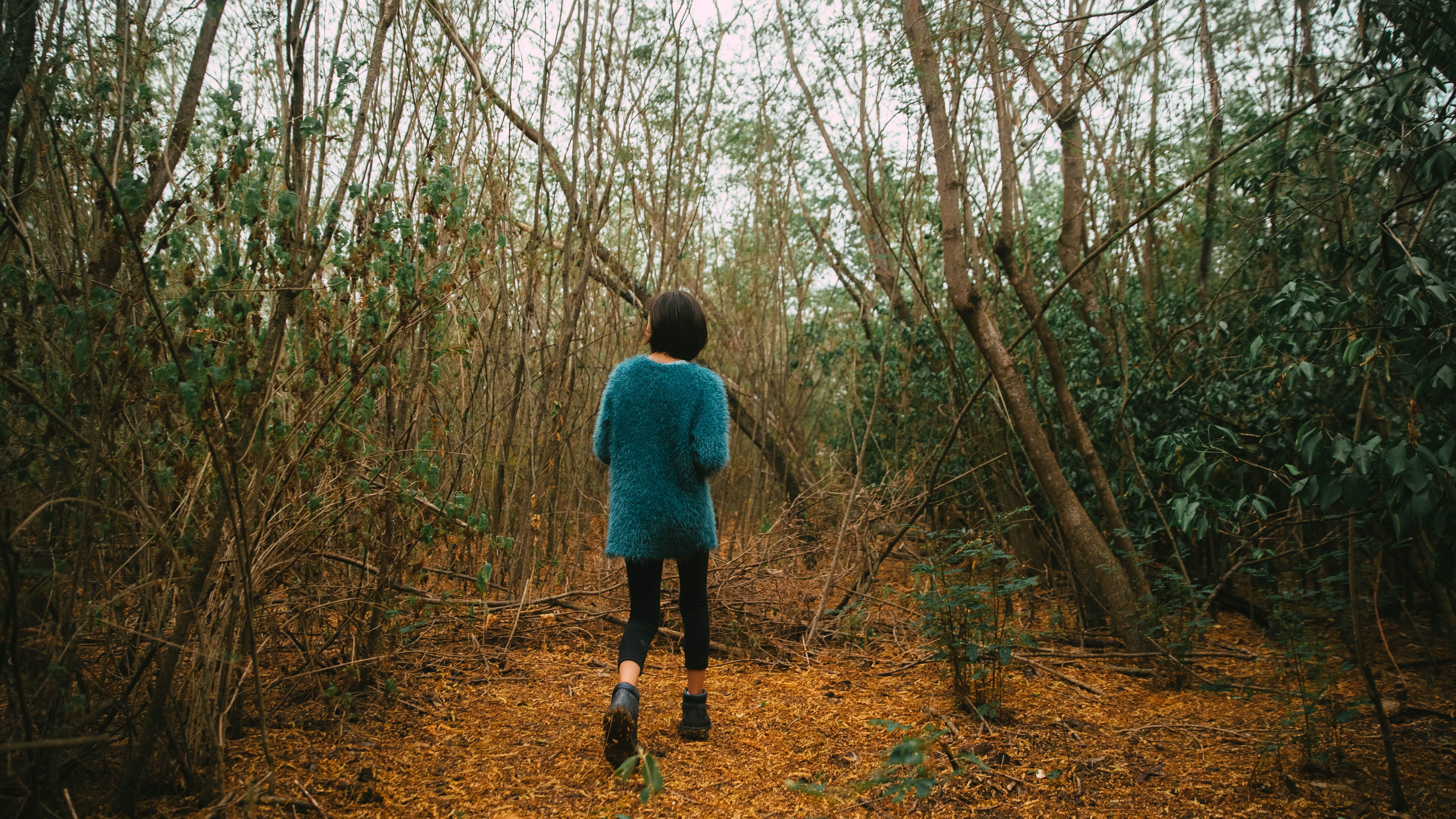 A woman in a blue sweater walks through a serene and lush forest pathway.