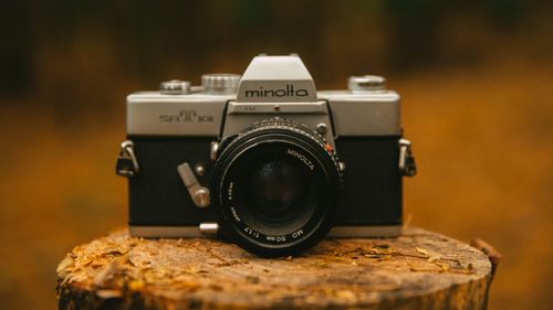 Free A vintage Minolta SLR camera resting on a wooden stump in an outdoor setting. Stock Photo