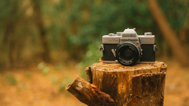 A classic Minolta SLR camera rests on a tree stump, perfect for vintage enthusiasts and photography lovers.