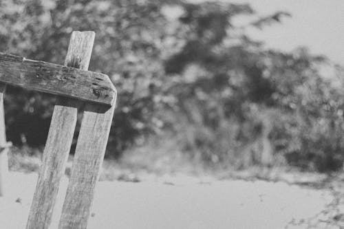 Free Grayscale Photo of a Wood Stock Photo