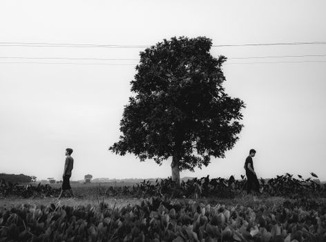 Grayscale Photo of People Walking on Grass Field