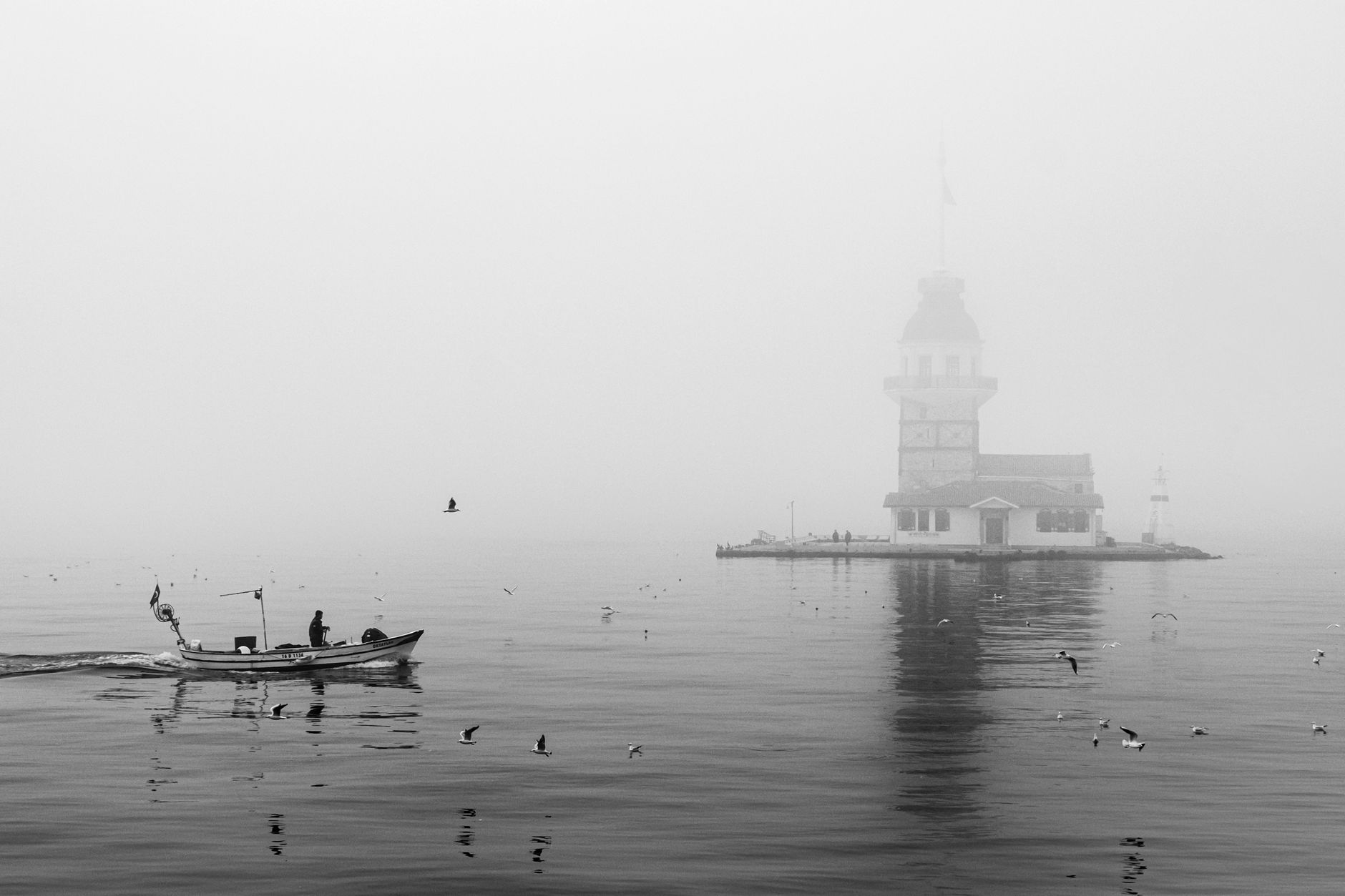 Foggy black and white scene of Maiden's Tower with boat and birds in Istanbul.