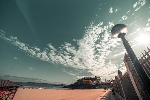 Darmowe zdjęcie z galerii z dzień, na plaży, piasek