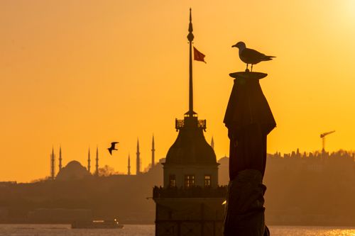 Free Beautiful silhouette of a seagull perched at sunset with Maiden's Tower in Istanbul. Stock Photo