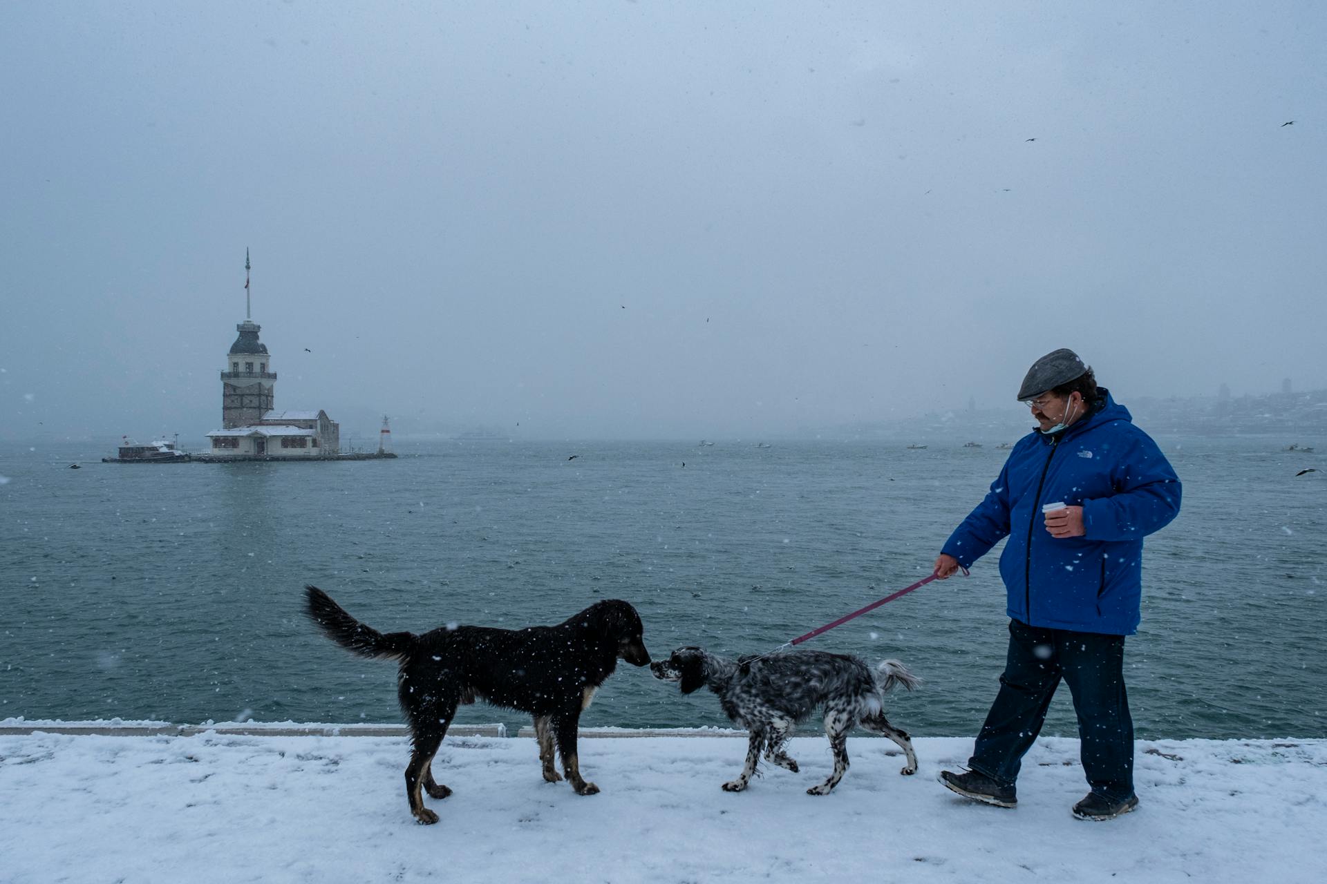 Man in Blue Jacket Walking His Dog Out in the Snow