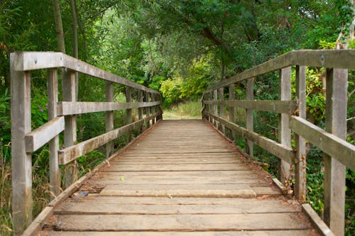 Wooden Pathway Between Trees