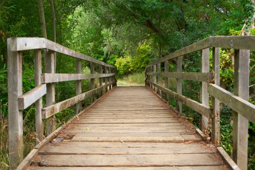 Free Idyllic wooden bridge through lush greenery in St Neots, England. Stock Photo