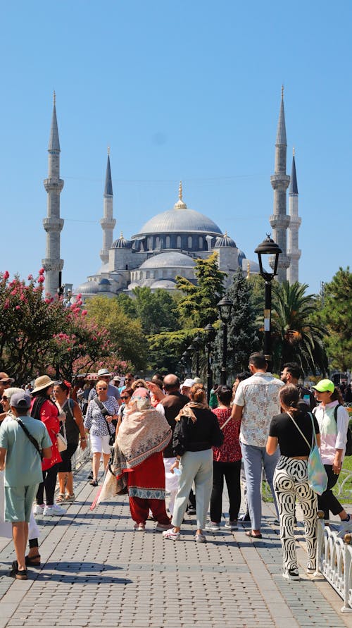 Základová fotografie zdarma na téma architektura, Istanbul, krocan