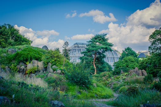 一座宁静的植物园里，温室被郁郁葱葱的绿植环绕，映衬在充满活力的蓝天下