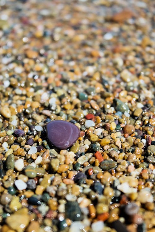 Wet Pebbles on the Beach