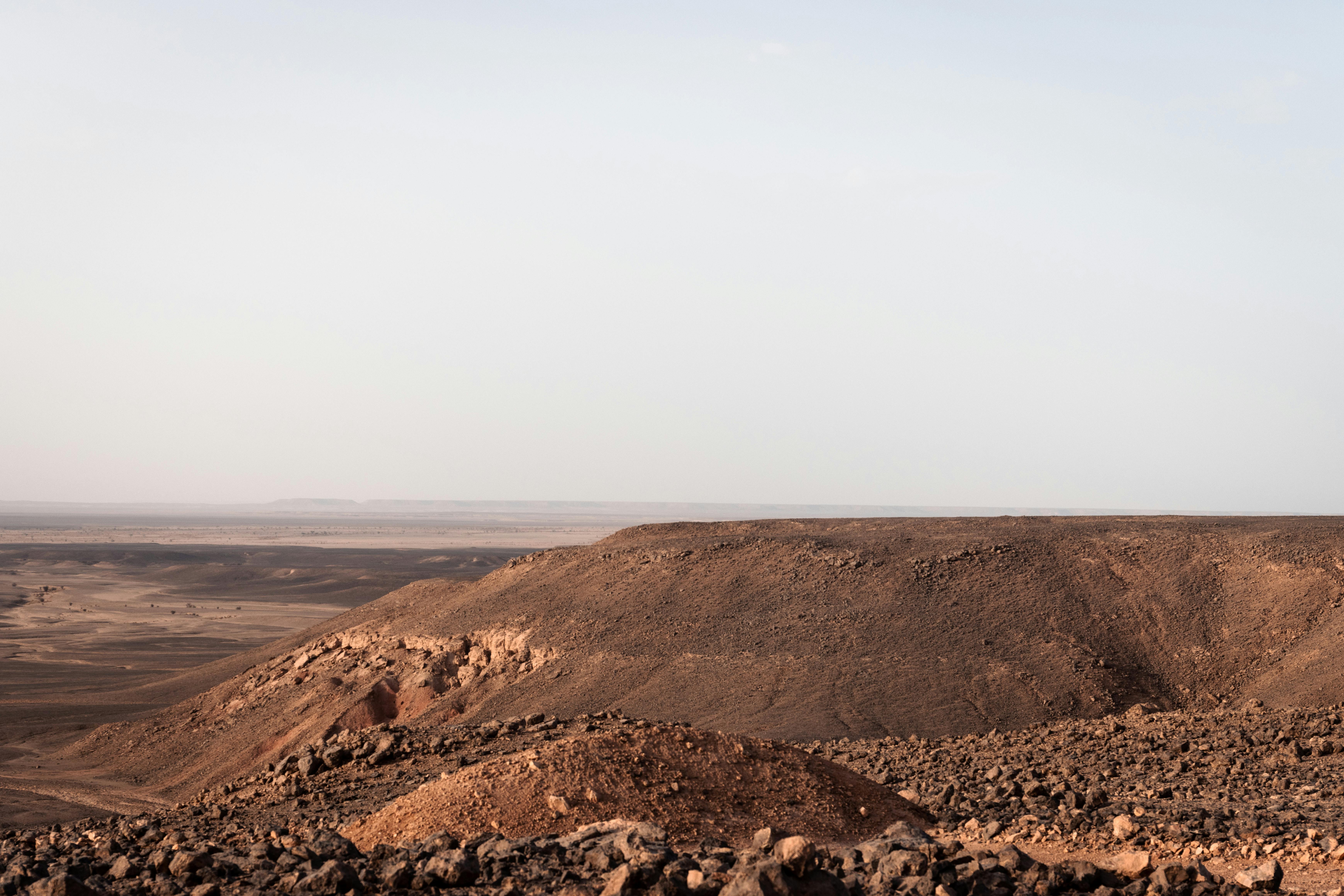 Made in Nature, Organic Dried Plums, 6 oz (170 g)