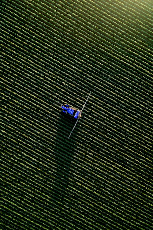 Foto d'estoc gratuïta de agricultura, camps de cultiu, foto des d'un dron