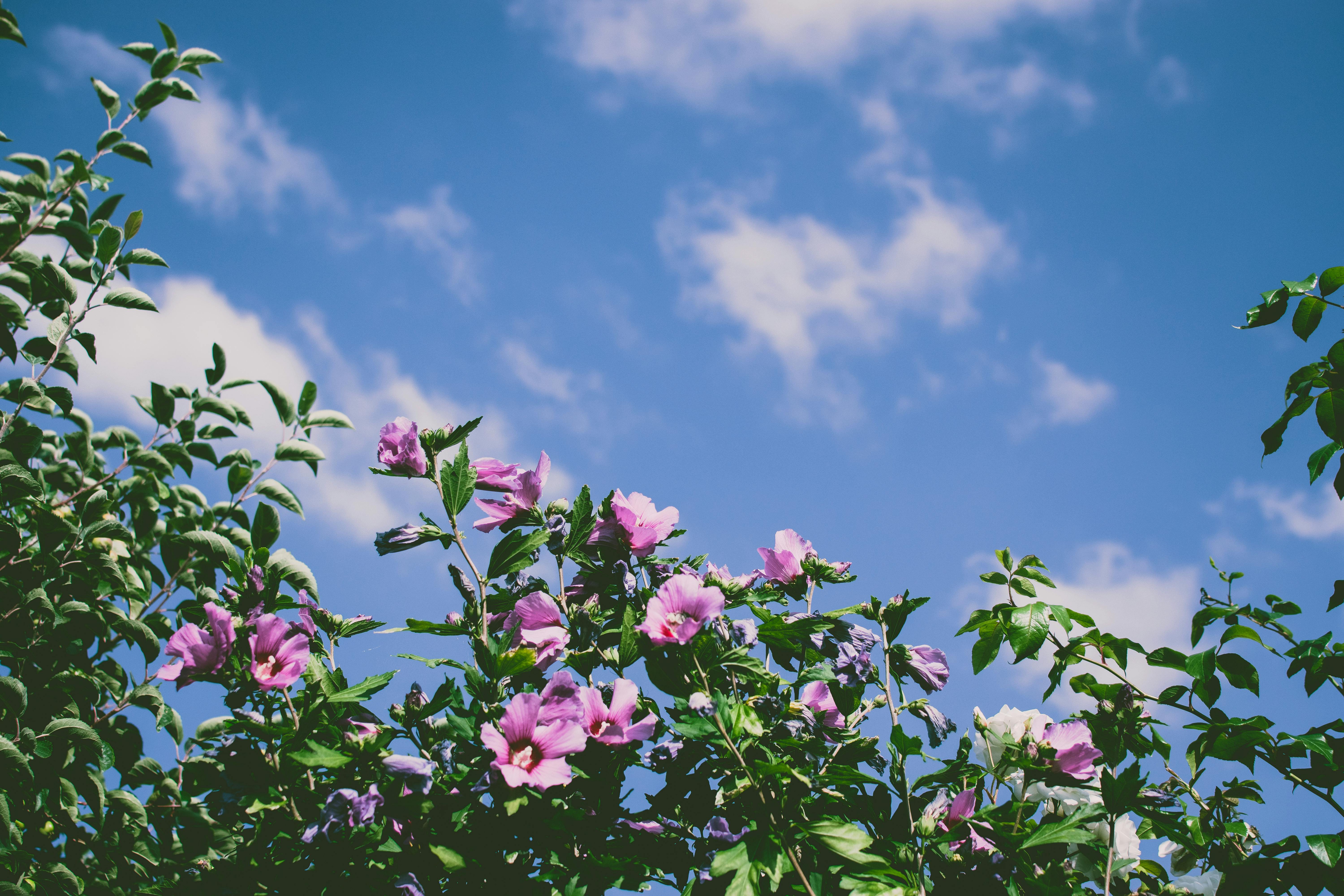 grub的使用及使用场景