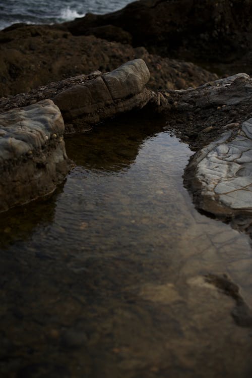 Foto d'estoc gratuïta de aigua, aigua neta, natura