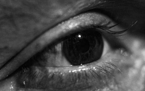 Free stock photo of black-and-white, bnw, eye