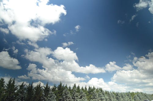 Free stock photo of cloud, scenery