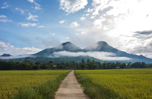 夏天, 天性, 山 的 免费素材图片