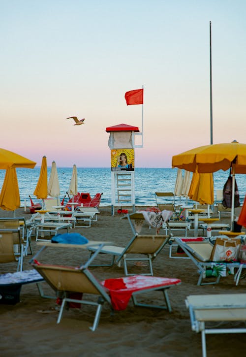 Seagull Flying Over Beach Loungers Around Lifeguard Tower with Red Flag