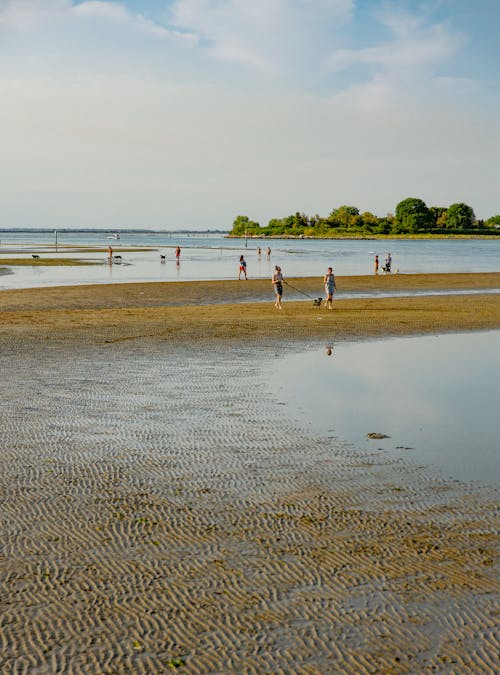 Photo of People on the Beach