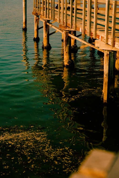 Free A peaceful scene featuring a wooden boardwalk reflecting on calm, green waters at sunset. Stock Photo
