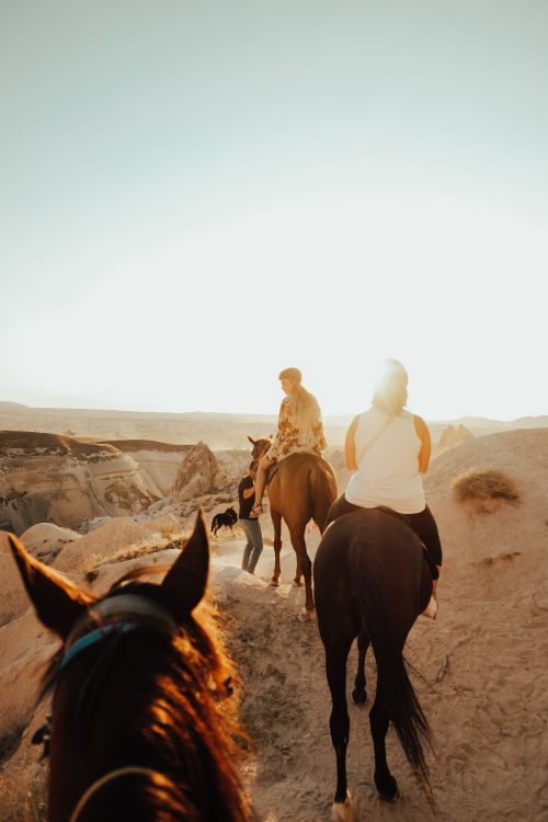 Free Group riding horses through sunlit hills, enjoying nature and adventure. Stock Photo