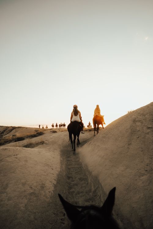 Free Group on horseback exploring desert trails as the sun rises, embracing adventure and serenity. Stock Photo