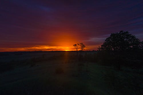 Fotografi Siluet Hutan Selama Golden Hour