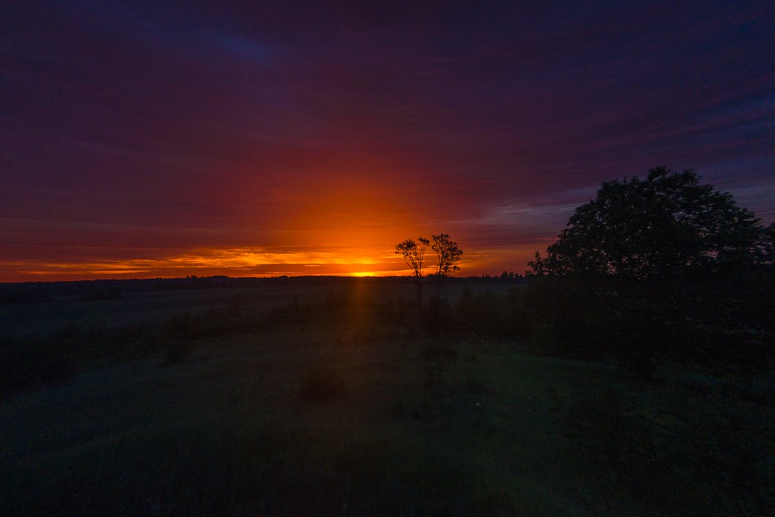 Fotografía De Silueta Del Bosque Durante La Hora Dorada