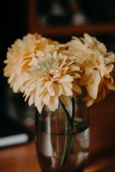 玻璃花瓶中优雅地排列着迷人的黄色大丽花，营造出温暖舒适的室内氛围