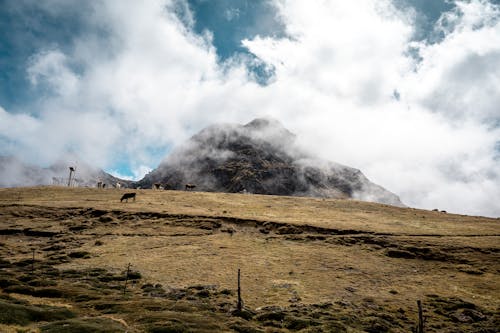 Free stock photo of andes, brown mountains, cloud background
