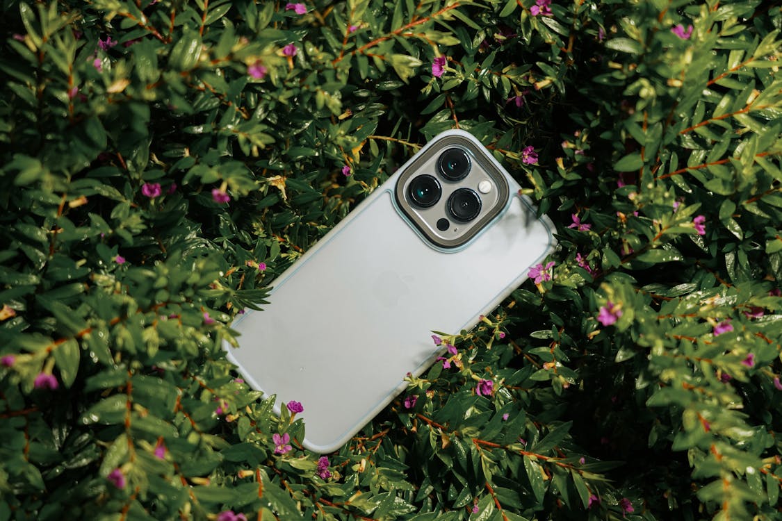 Free Close-up of an Iphone 14 Pro on Green Plants Stock Photo