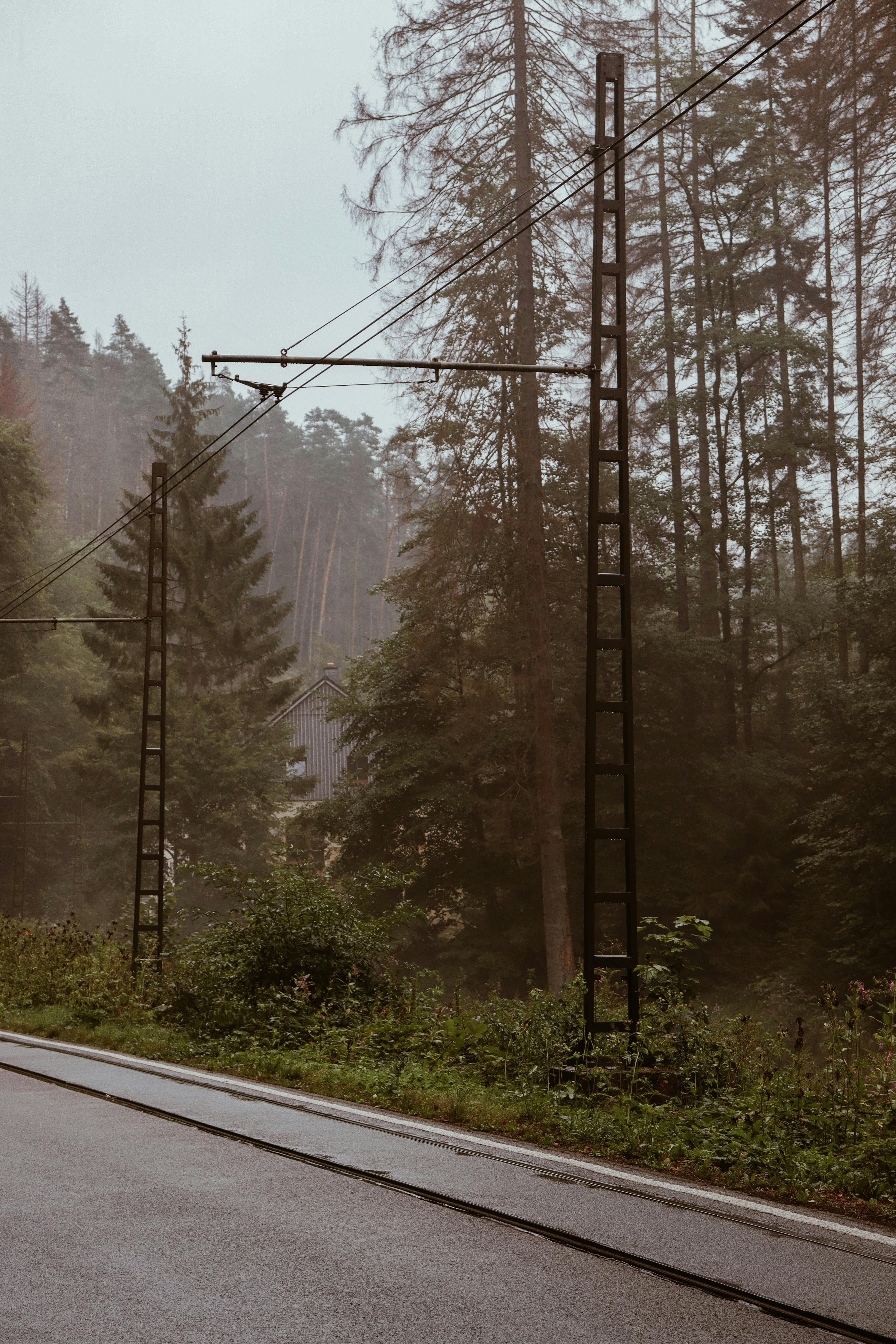 Which sperm is more powerful?