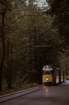 A vintage yellow tram travels through a lush forest in Germany, exuding a serene atmosphere during a rainy day.