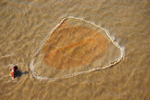 Free Fisherman casting a large net in a muddy river, view from above. Stock Photo