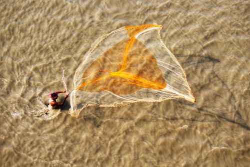 Free Aerial shot of a fisherman casting a circular net in shallow waters, capturing the motion and shadows. Stock Photo
