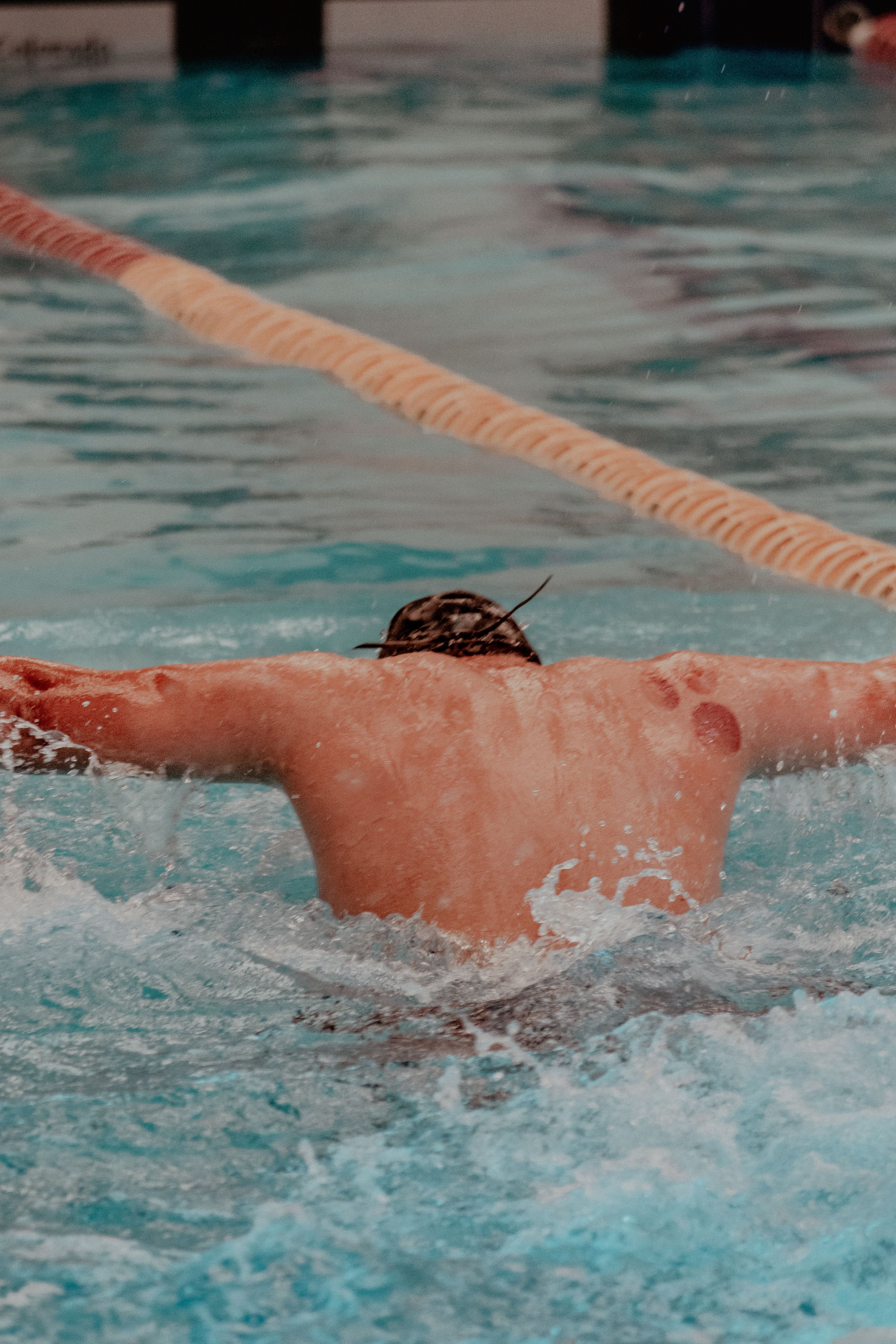 Back view of a swimmer competing in a pool in San Luis Potosí, showcasing water sports dynamics.