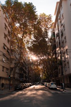 Serene residential street in Buenos Aires bathed in golden sunlight with autumn leaves.