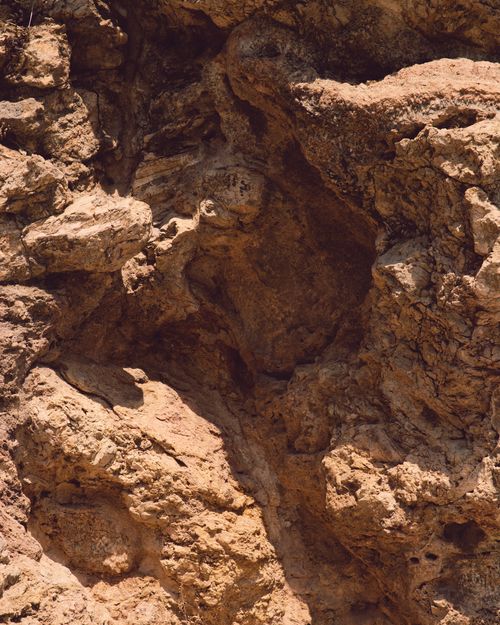 Free Detailed view of a rugged rock surface, showcasing natural textures and earthy tones. Stock Photo