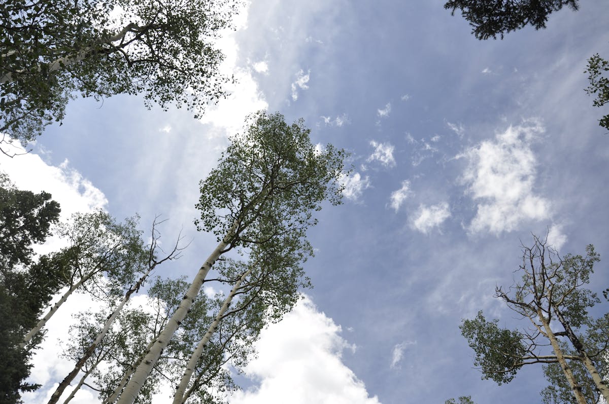 Mazda MX-5 interior showing vehicle-specific adjustable side mounts for bucket seat fitment