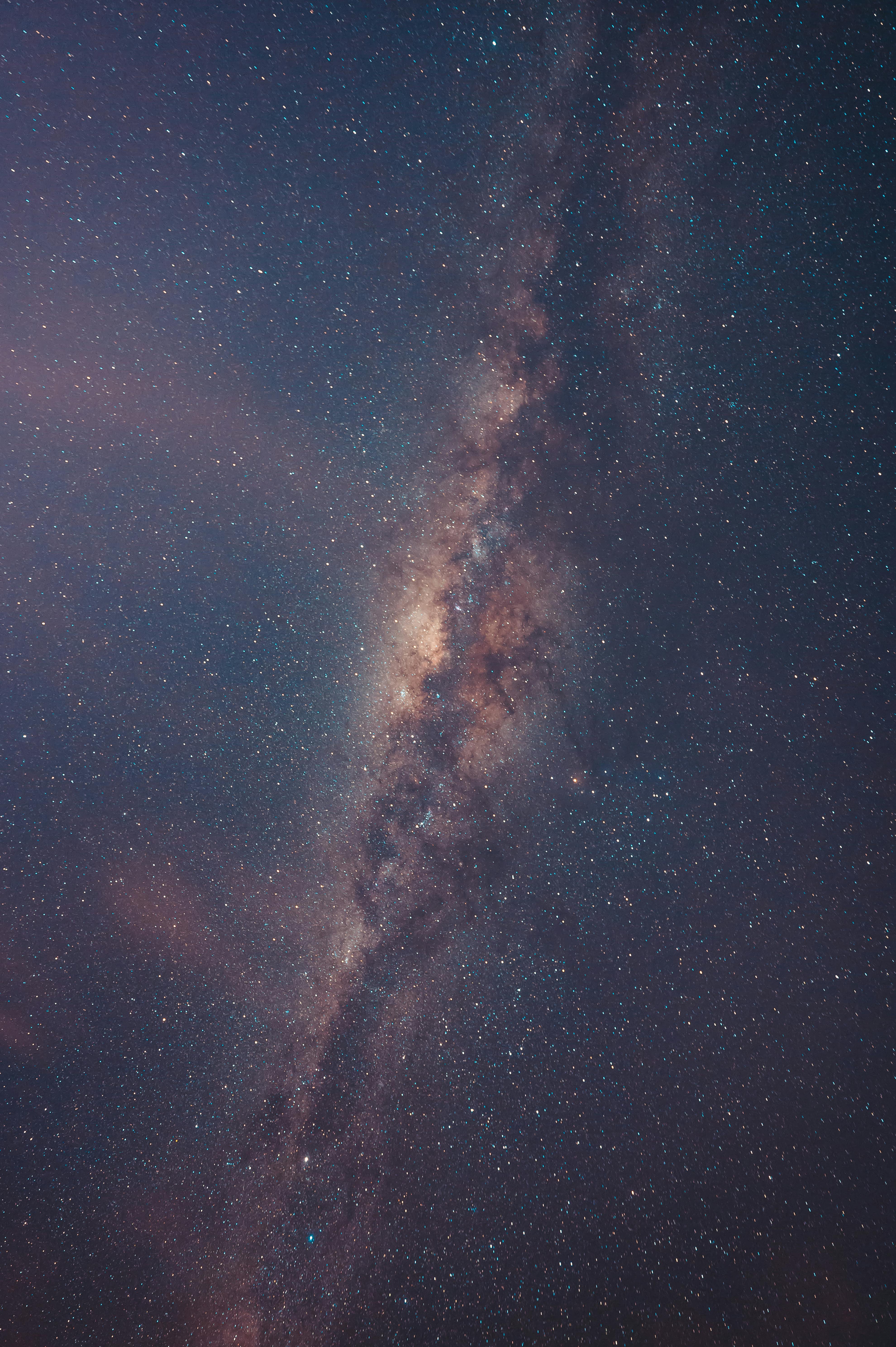 night sky with stars and milky way