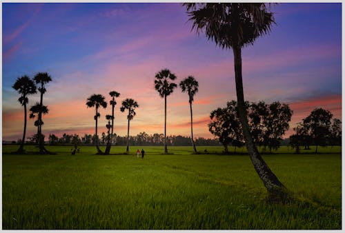 ザン, ベトナム, 夜明けの無料の写真素材