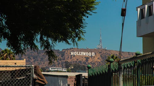 Fotobanka s bezplatnými fotkami na tému cedule, Hollywood, horský výhľad